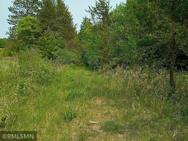 TBD 63rd Ave NW, Pike Bay Twp, MN 56633