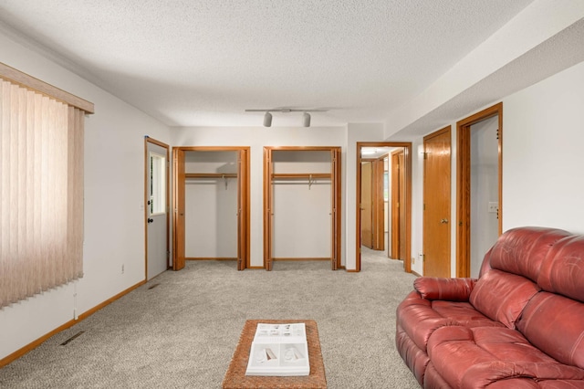 3924 Denmark Ave, Eagan, MN 55123 - living room featuring light colored carpet, a textured ceiling, track lighting, and baseboards