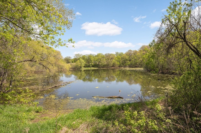 3924 Denmark Ave, Eagan, MN 55123 - water view featuring a heavily wooded area