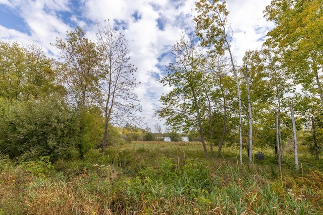 1614 8th St, Grand Rapids, MN 55744 - view of local wilderness