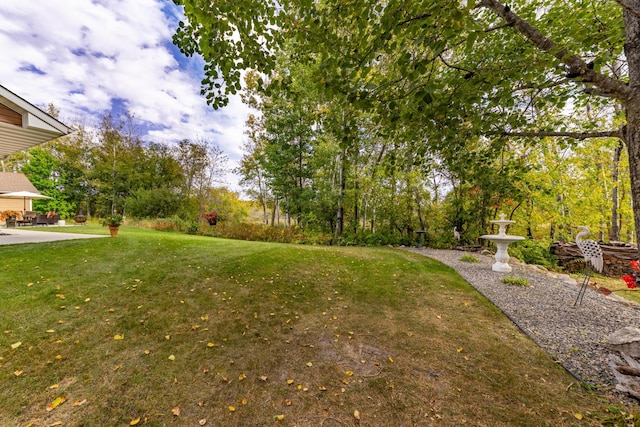 1614 8th St, Grand Rapids, MN 55744 - view of grassy yard