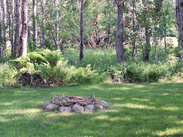 1614 8th St, Grand Rapids, MN 55744 - view of green lawn