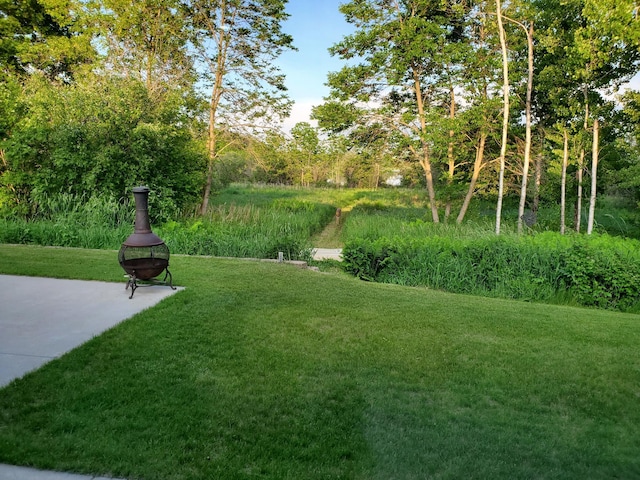 1614 8th St, Grand Rapids, MN 55744 - view of green lawn