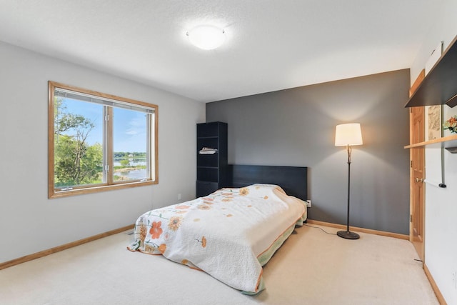 18715 24th Ave N, Plymouth, MN 55447 - bedroom featuring carpet floors and baseboards
