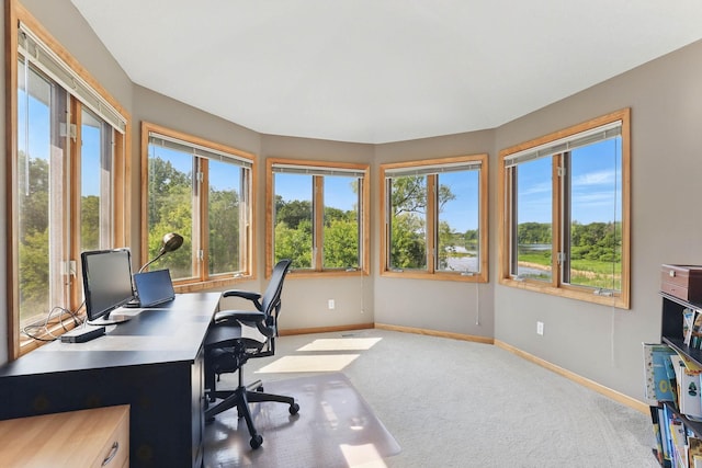 18715 24th Ave N, Plymouth, MN 55447 - home office with baseboards, carpet flooring, and healthy amount of natural light
