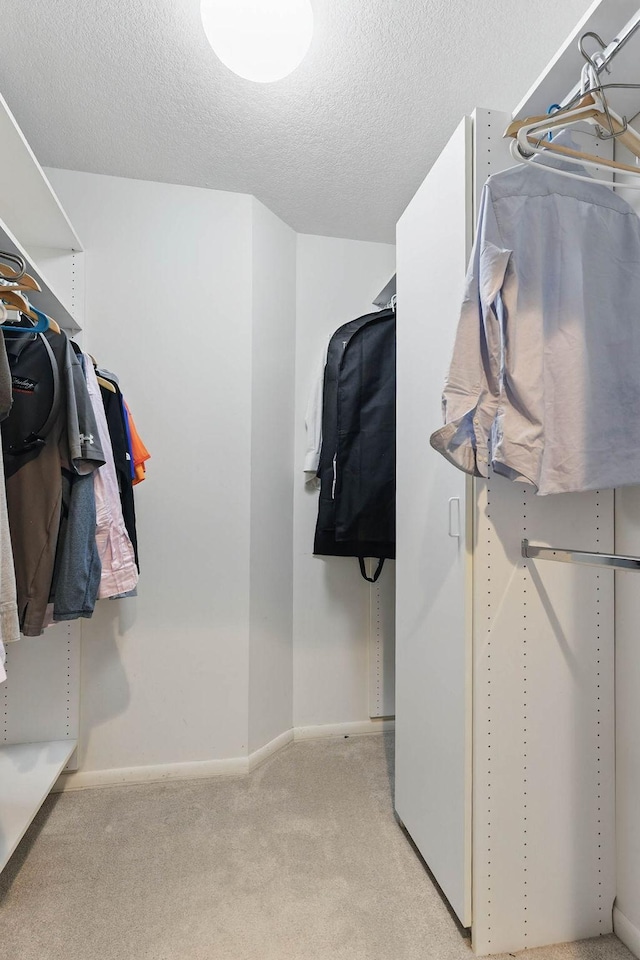 18715 24th Ave N, Plymouth, MN 55447 - spacious closet featuring carpet flooring