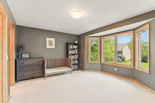 18715 24th Ave N, Plymouth, MN 55447 - unfurnished bedroom with carpet and baseboards