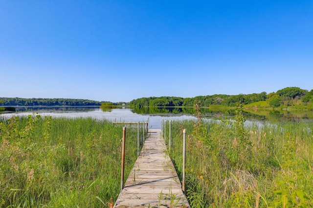 18715 24th Ave N, Plymouth, MN 55447 - dock with a water view