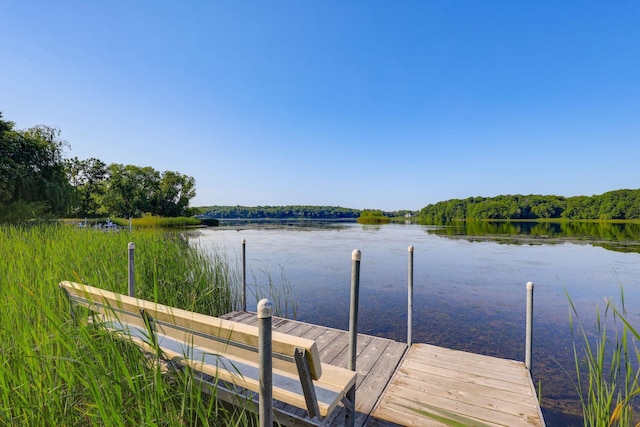 18715 24th Ave N, Plymouth, MN 55447 - dock featuring a water view