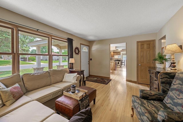 9452 Stevens Ave S, Bloomington, MN 55420 - living area with a textured ceiling, light wood-style floors, and baseboards