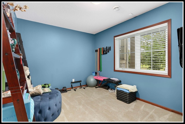 8065 Kirkwood Ln N Unit 82, Maple Grove, MN 55369 - miscellaneous room featuring carpet floors and baseboards