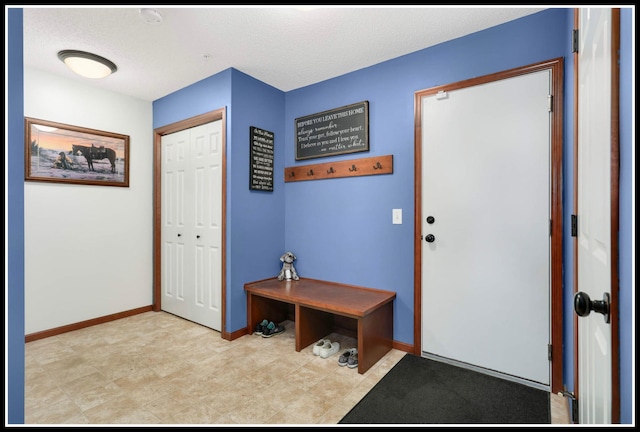 8065 Kirkwood Ln N Unit 82, Maple Grove, MN 55369 - entryway featuring baseboards