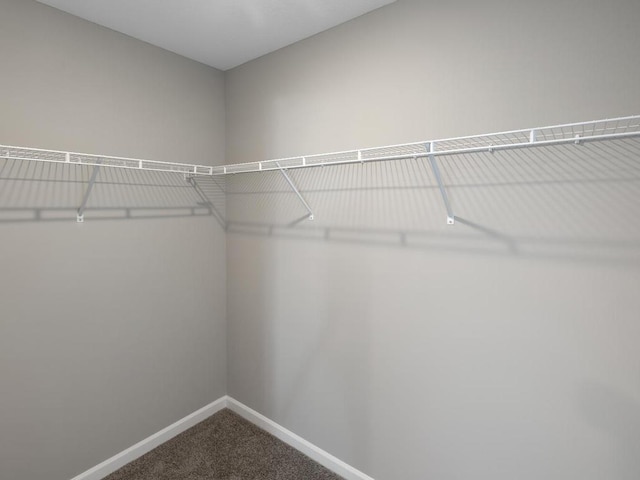 6720 376th St, North Branch, MN 55056 - spacious closet featuring carpet floors