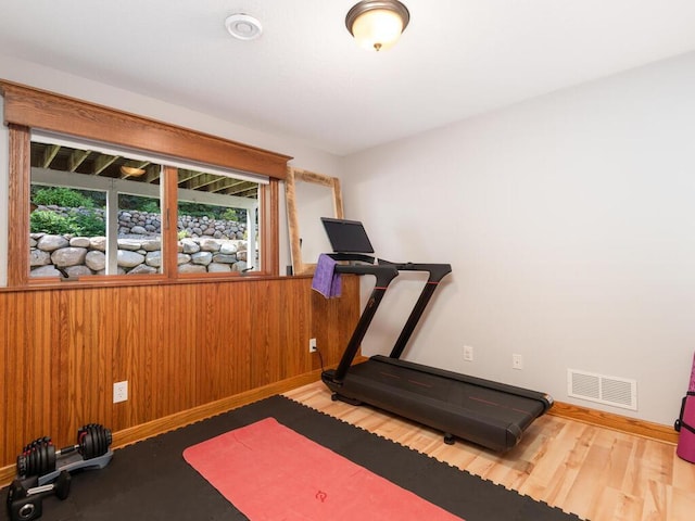 1776 Lockridge Ct, Waconia, MN 55387 - exercise area featuring baseboards and wooden walls