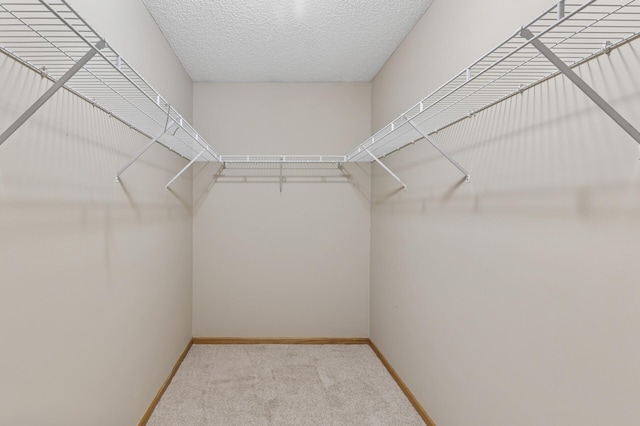 174 Shetland Ln, Lino Lakes, MN 55014 - photo 35