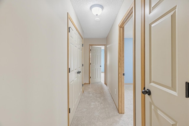 174 Shetland Ln, Lino Lakes, MN 55014 - photo 36