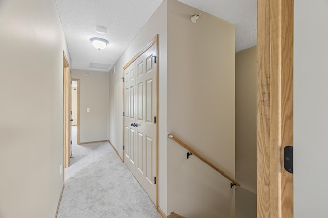 174 Shetland Ln, Lino Lakes, MN 55014 - photo 37