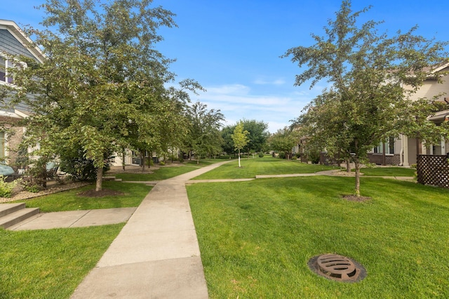 174 Shetland Ln, Lino Lakes, MN 55014 - photo 43