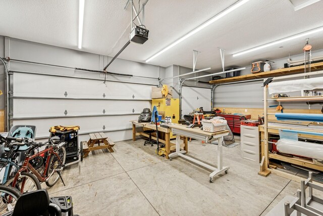 12083 79th St NE, Otsego, MN 55330 - garage with a garage door opener and a workshop area