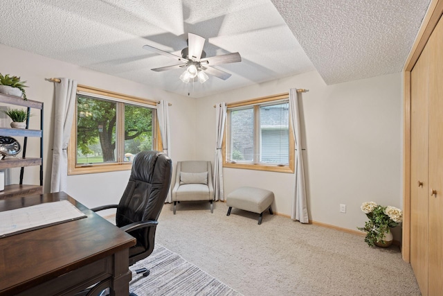 8298 Orchid Ln N, Maple Grove, MN 55311 - photo 31
