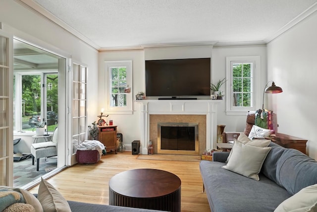 2516 Humboldt Ave S, Minneapolis, MN 55405 - living area with crown molding, wood finished floors, a fireplace, and a textured ceiling