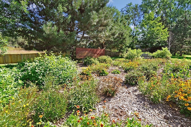 7441 Franklin Ave, Saint Louis Park, MN 55426 - view of yard