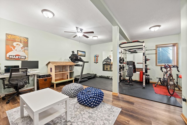 1590 Fountain Ln, Waconia, MN 55387 - workout area with wood finished floors, a ceiling fan, and a textured ceiling