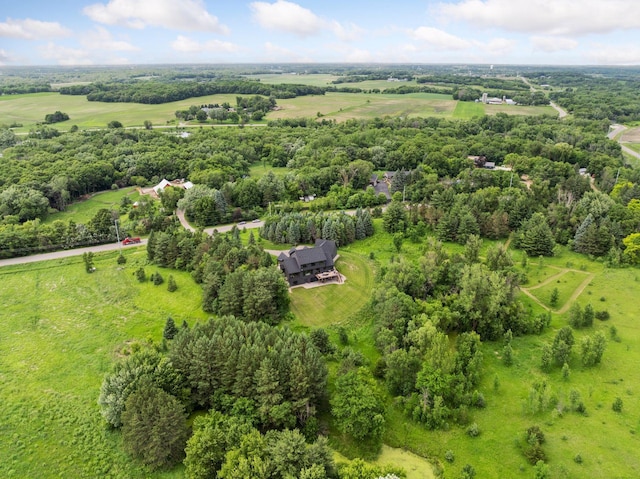 11278 Eastwood Ave SE, Delano, MN 55328 - overview of rural landscape