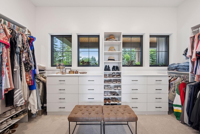 11278 Eastwood Ave SE, Delano, MN 55328 - walk in closet with light carpet