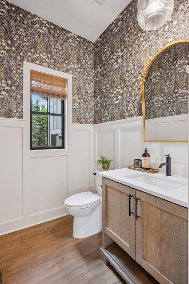 11278 Eastwood Ave SE, Delano, MN 55328 - bathroom featuring wallpapered walls, a decorative wall, vanity, wainscoting, and wood finished floors
