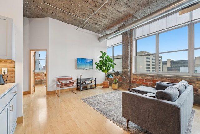 521 7th St Unit 416, Minneapolis, MN 55415 - living room with light wood finished floors and baseboards