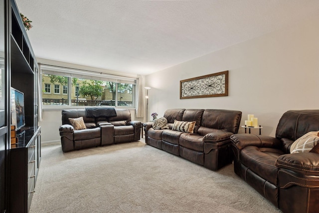 1901 Emerson Ave S Unit 104, Minneapolis, MN 55403 - view of carpeted living room