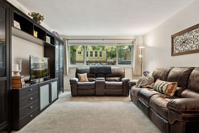 1901 Emerson Ave S Unit 104, Minneapolis, MN 55403 - living room with light colored carpet