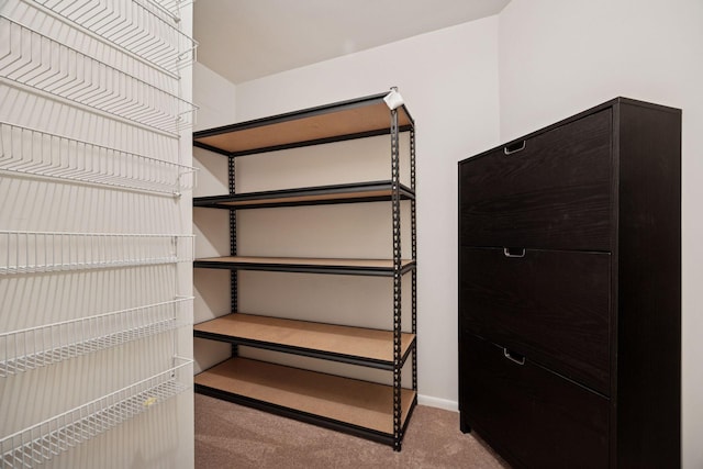 1901 Emerson Ave S Unit 104, Minneapolis, MN 55403 - walk in closet with carpet