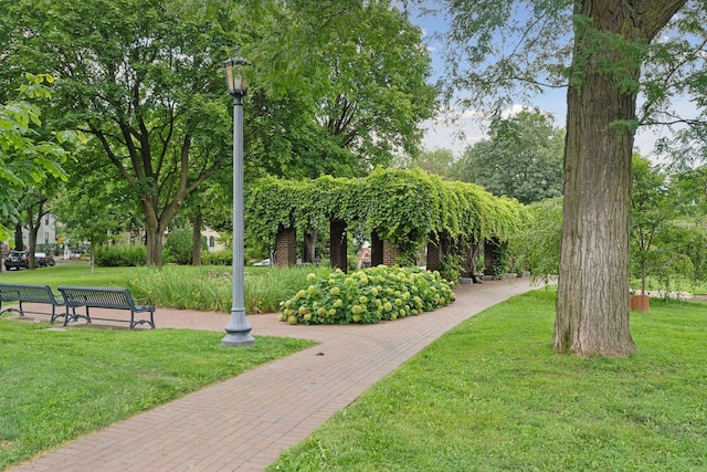 1901 Emerson Ave S Unit 104, Minneapolis, MN 55403 - view of property's community with a yard