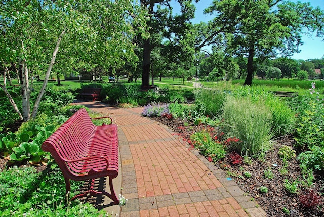 1901 Emerson Ave S Unit 104, Minneapolis, MN 55403 - surrounding community featuring view of scattered trees