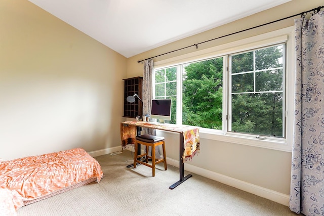 448 3rd St, Excelsior, MN 55331 - carpeted bedroom featuring vaulted ceiling and an office area