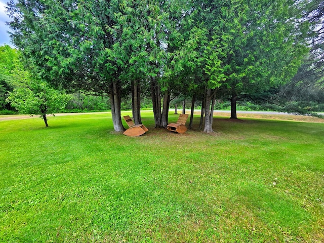 33312 Scenic Hwy, Bovey, MN 55709 - photo 24