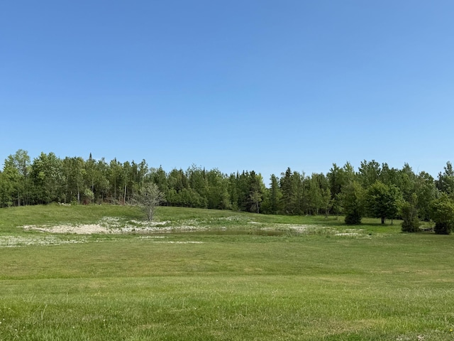 11391 Briski Rd, Balkan Twp, MN 55719 - view of green lawn featuring a wooded view