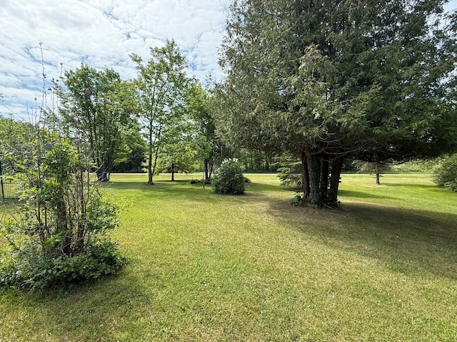 11391 Briski Rd, Balkan Twp, MN 55719 - view of green lawn