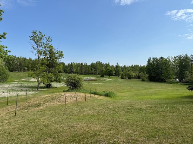 11391 Briski Rd, Balkan Twp, MN 55719 - view of grassy yard