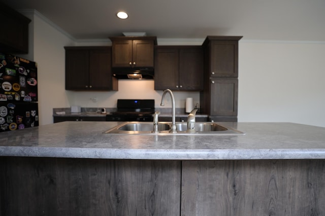 16962 Kenrick Ave Unit 7, Lakeville, MN 55044 - kitchen featuring range, under cabinet range hood, crown molding, a sink, and dark brown cabinets