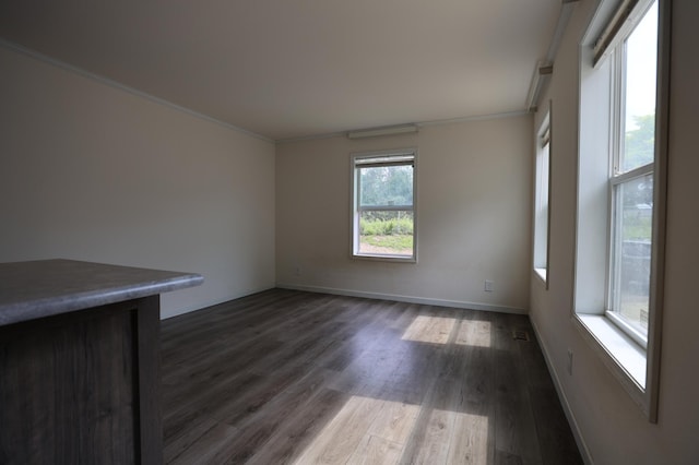 16962 Kenrick Ave Unit 7, Lakeville, MN 55044 - spare room with dark wood-type flooring, ornamental molding, and baseboards