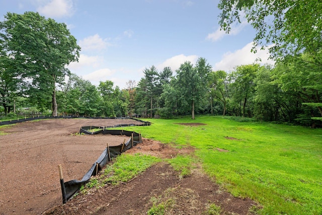 14215 Orchard Rd, Minnetonka, MN 55345 - photo 4
