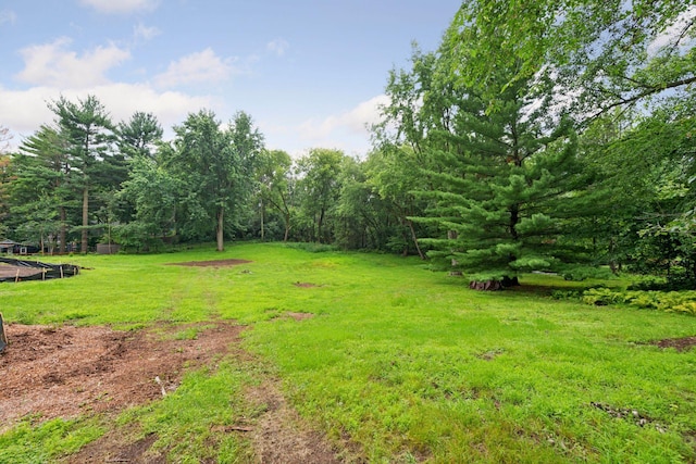 14215 Orchard Rd, Minnetonka, MN 55345 - photo 6