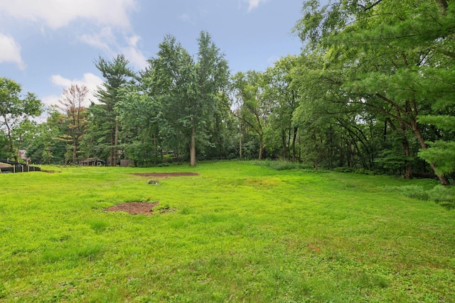 14215 Orchard Rd, Minnetonka, MN 55345 - photo 8