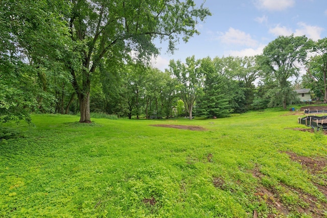 14215 Orchard Rd, Minnetonka, MN 55345 - photo 9