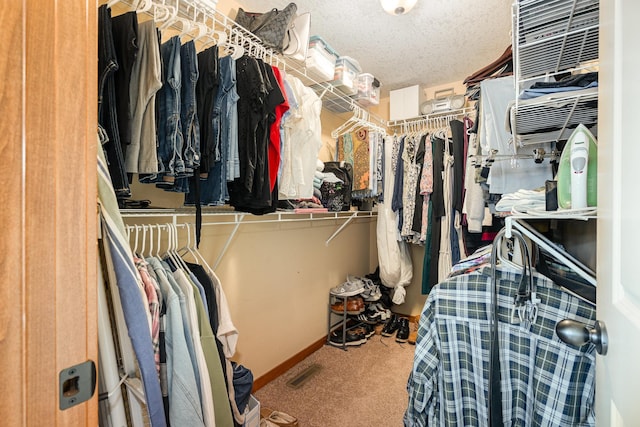 29259 Wildwood Rd, Chisago City, MN 55013 - walk in closet with carpet floors