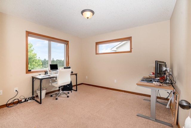 29259 Wildwood Rd, Chisago City, MN 55013 - home office with healthy amount of natural light, carpet, and a textured ceiling
