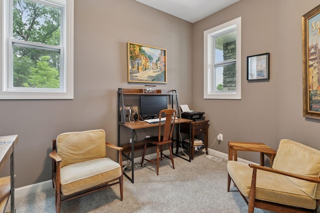 7465 Glengarry Pl, Eden Prairie, MN 55344 - office area with healthy amount of natural light and light carpet